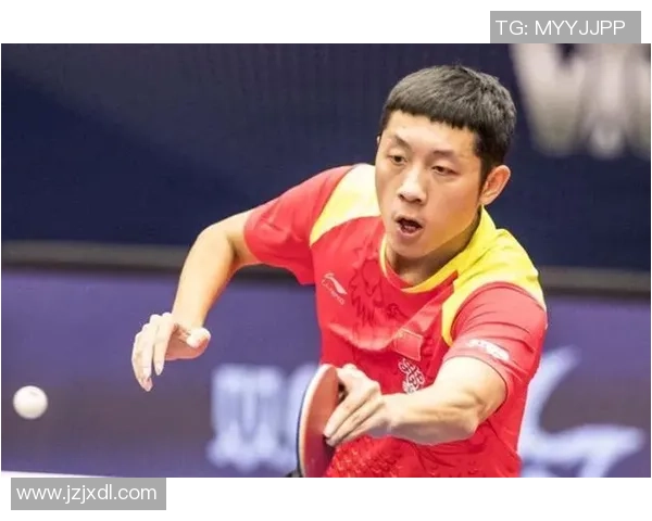 樊振东再现可爱熊猫趴桌趣味瞬间：乒坛萌神，赛场外的别样风采